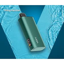 Veev Now Blue Mint 8000Puffs