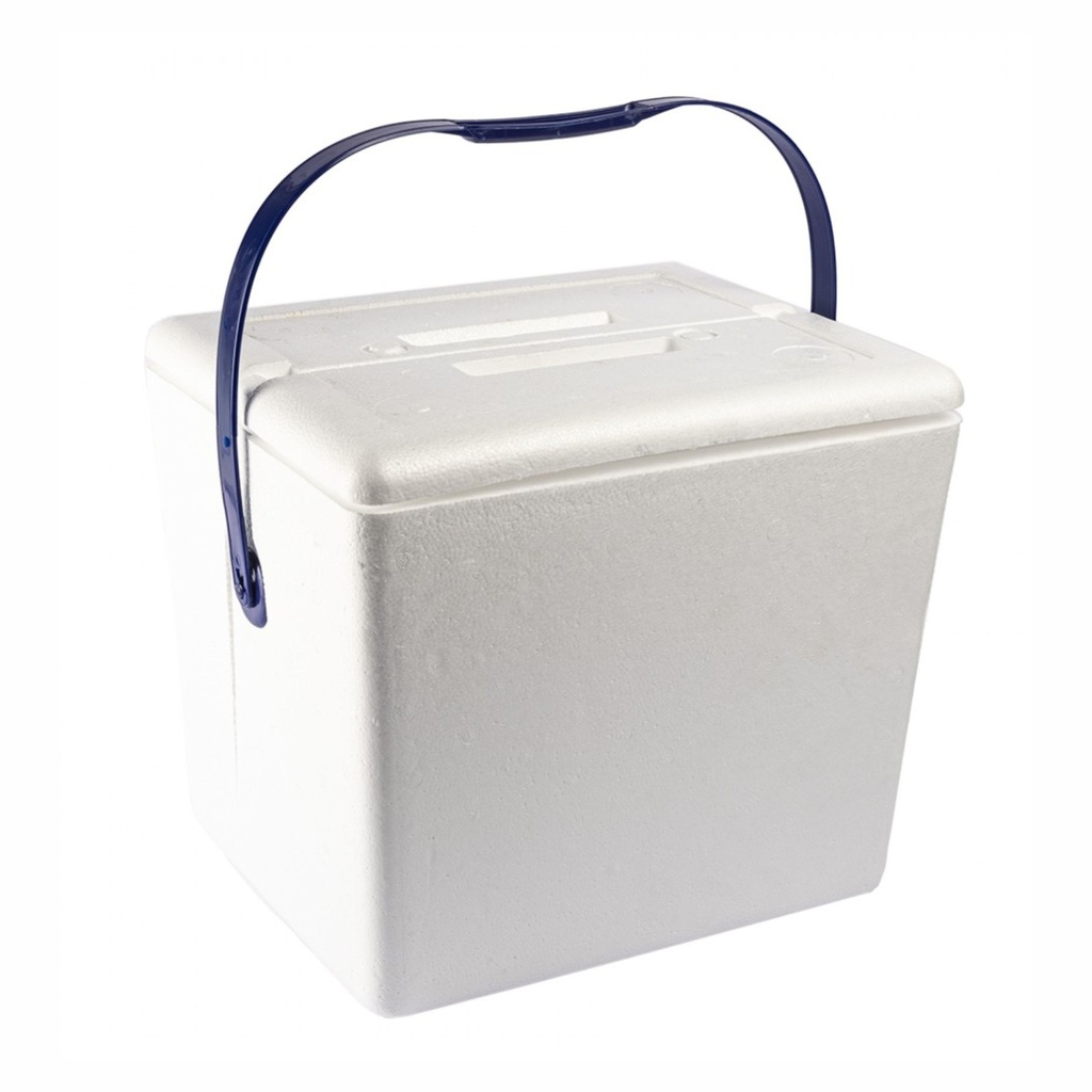 Nevera Foam 10Lt Con Asa