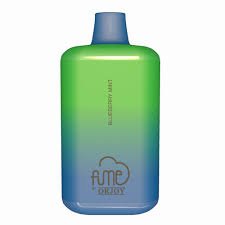 Fume Recharge Blueberry Mint
