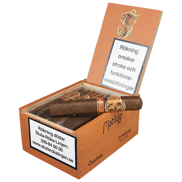 Matilde Quadrata Robusto 