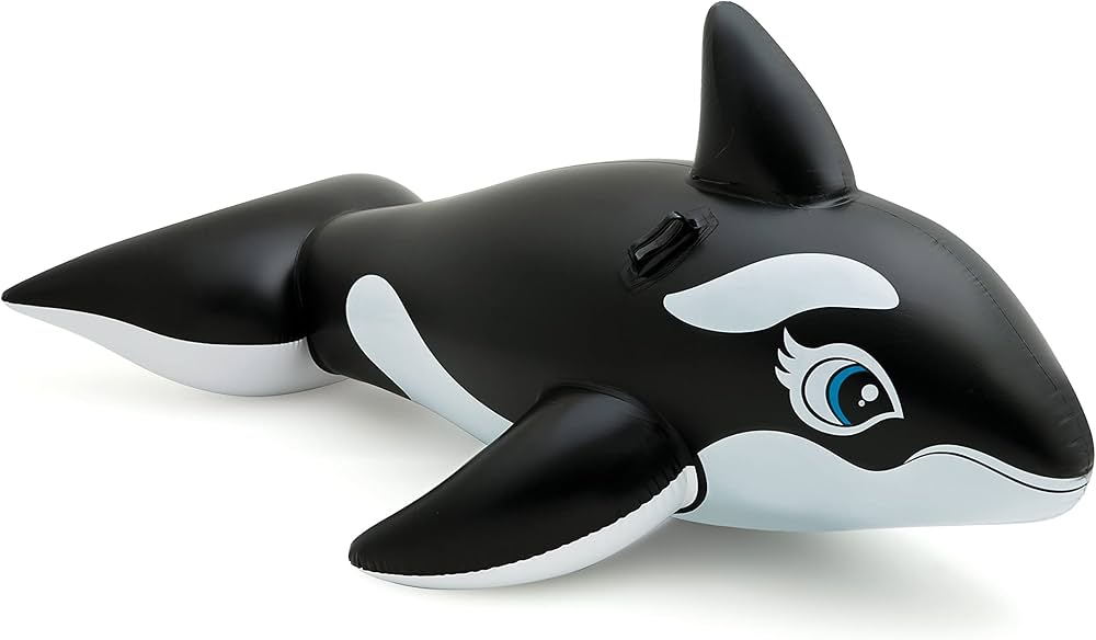 Ballena Flotador 76X47