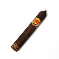 [00110305] Casa Magna D Magnus Optimus