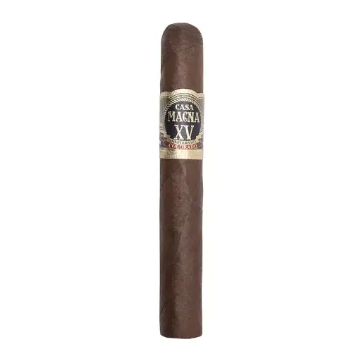 [006566] Casa Magna Xv Aniversario