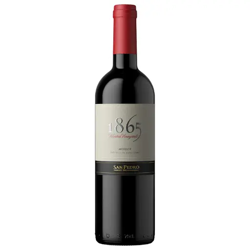 [7804300129620] 1865 Syrah 750Ml
